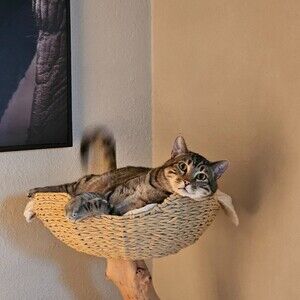 Meet your Posher, Aidan